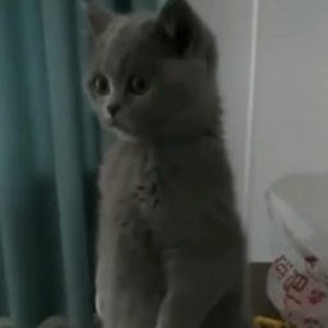 Meet your Posher, Threetable19